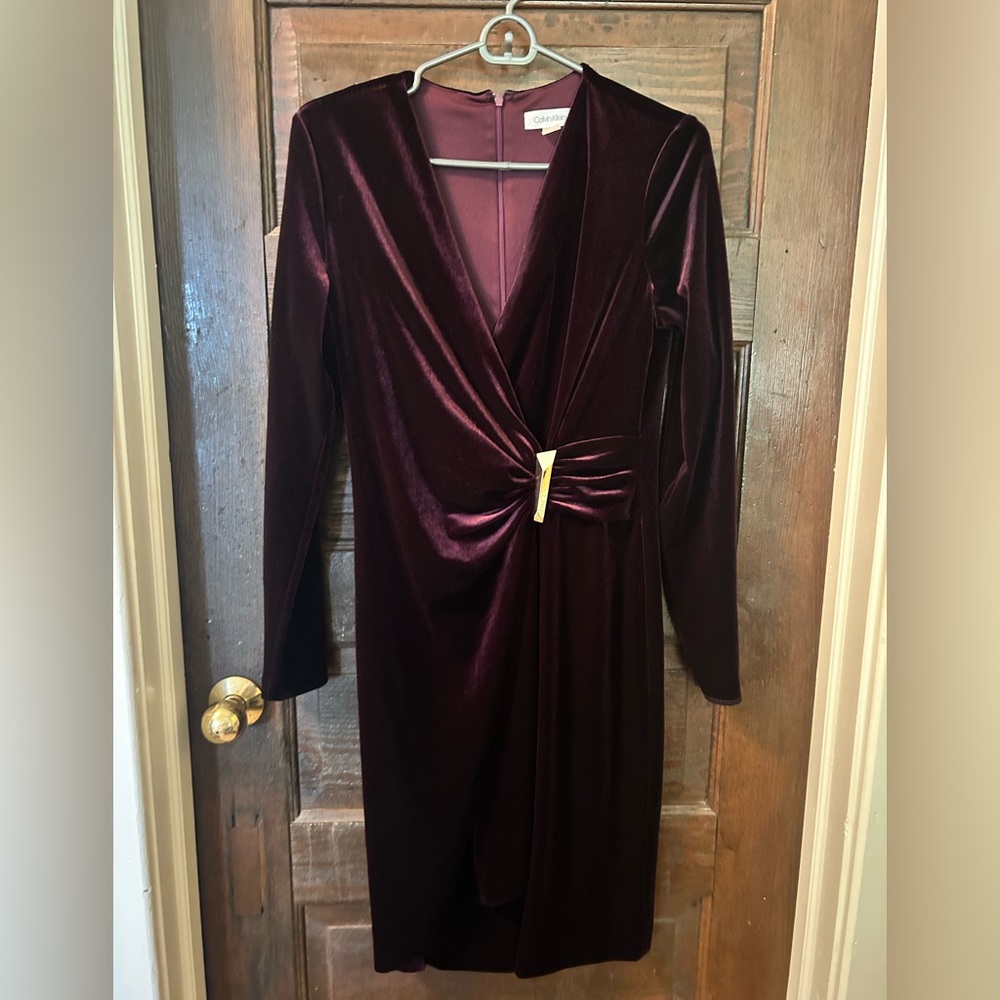 Calvin Klein Deep Burgundy Velvet Long Sleeve Dress